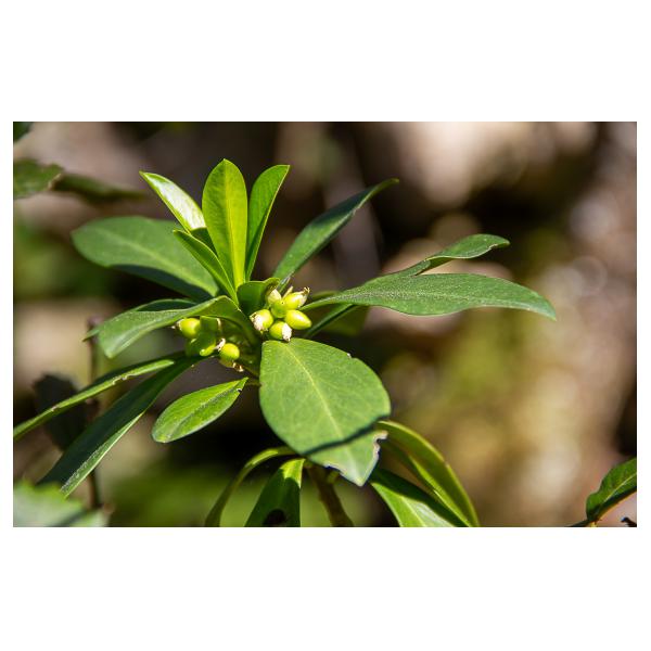 PHOTO84, CLUB, 84 , LUBERON